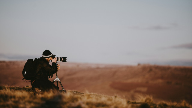 Découvrez les meilleures photographies humoristiques d’animaux de 2025