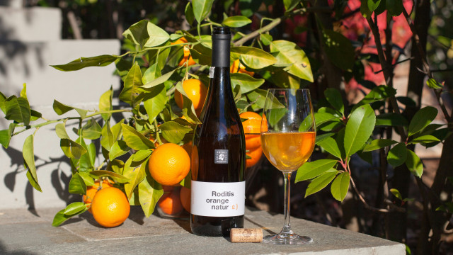 Cette nouvelle pépite bouscule le monde du vin