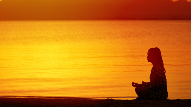 L’économie du silence : quand le calme devient un business