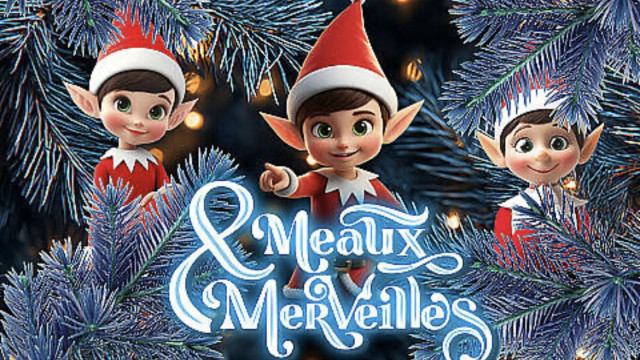 Concert, feux d’artifice et descente du Père Noël : ne manquez pas cet événement féerique  à quelques kilomètres de Paris