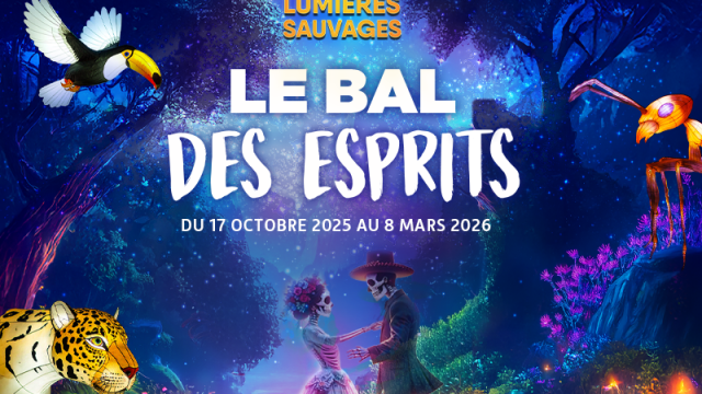 Le plus grand parcours lumineux de zoo d'Île-de-France brille aux couleurs du Mexique