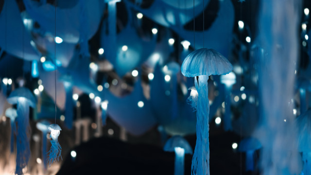 Nouvelle expo gratuite : plongez dans un monde sous la mer en origami