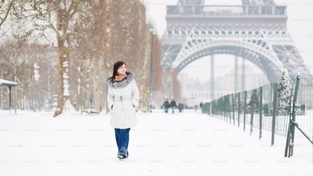 Paris sous la neige : ces vidéos de la capitale enneigée qui font le buzz