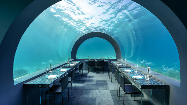 Restaurants immersifs : la nouvelle expérience food qui va révolutionner vos dîners !
