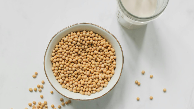 Quel lait végétal est fait pour vous ?