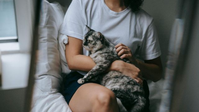 Votre animal vous aime-t-il vraiment ? Voici les signes qui ne mentent pas !