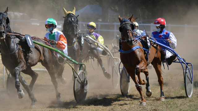 Prix d’Amérique : retour sur un week-end de folie à Vincennes