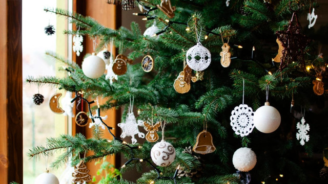 Noël 2025 : ces alternatives écolos au sapin traditionnel