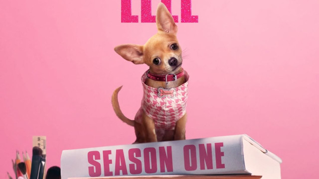 Prime Video révèle le préquel de La Revanche d’une Blonde et vous n’êtes pas prêts !