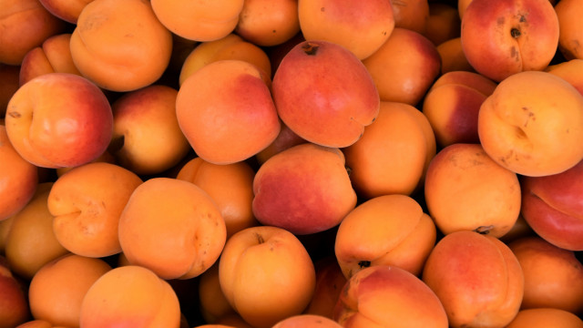 Vous voulez bronzer plus vite ? L’abricot sera votre allié gourmand cet été