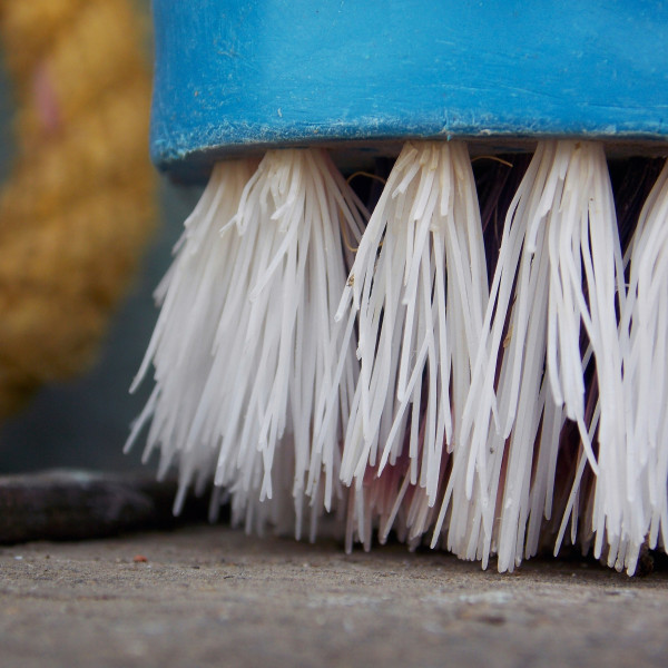 Du rasoir à l’éponge : quand faut-il vraiment les changer ?