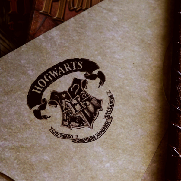 Harry Potter : 5 idées pour patienter jusqu’au retour de la saga sur HBO