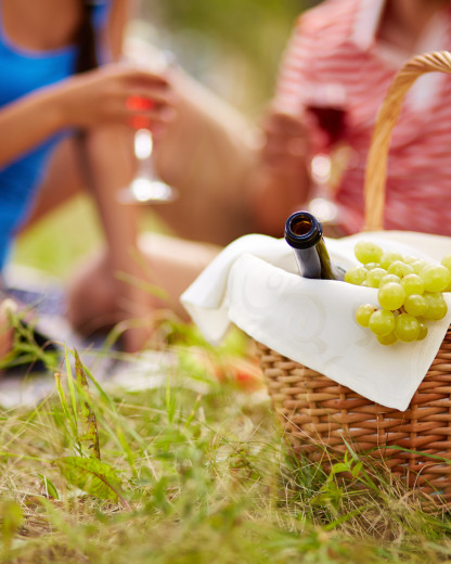 Pique-nique au soleil : découvrez la douceur fruitée qui va faire fondre vos papilles