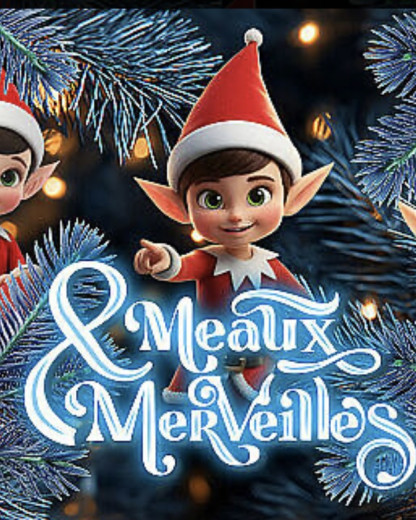 Concert, feux d’artifice et descente du Père Noël : ne manquez pas cet événement féerique  à quelques kilomètres de Paris