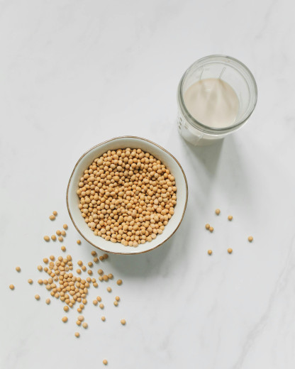 Quel lait végétal est fait pour vous ?