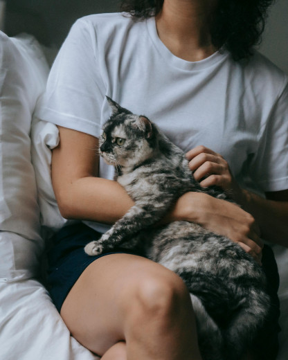 Votre animal vous aime-t-il vraiment ? Voici les signes qui ne mentent pas !