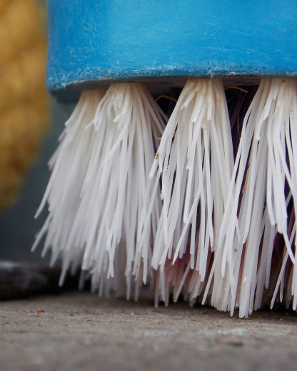 Du rasoir à l’éponge : quand faut-il vraiment les changer ?