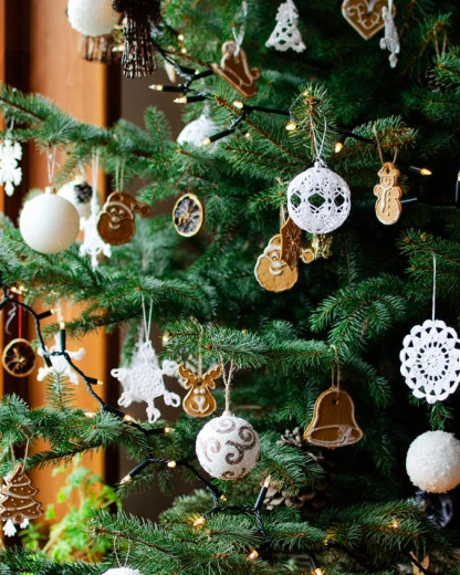 Noël 2025 : ces alternatives écolos au sapin traditionnel