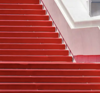 Festival de Cannes : les tenues qui ont enflammé le tapis rouge