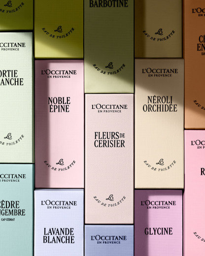 Découvrez Flora Orchestra, la collection florale signée L’Occitane qui fait sensation